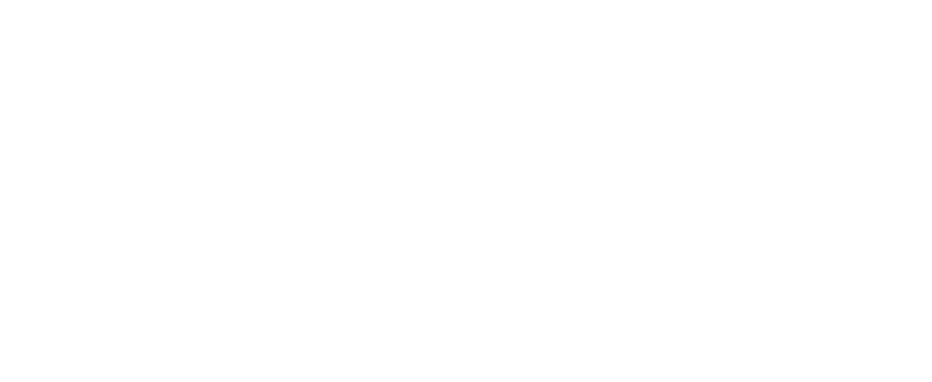 software de auditoria 