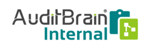 software de auditoria interna